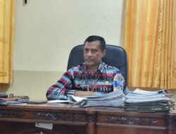 Sikka Catat Kenaikan Drastis Status Desa, 11 Desa Masuk Kategori Mandiri 