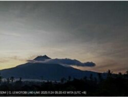 Kegempaan Lewotobi Laki-laki Meningkat Signifikan, Picu Erupsi Eksplosif
