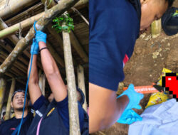 Pelajar Kelas 5 SD di Desa Ladogahar Sikka Ditemukan Meninggal Gantung Diri