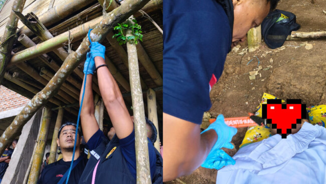 InShot 20260101 192435015