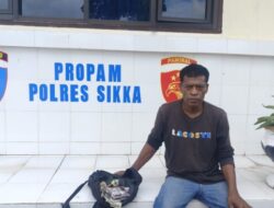 Berdiri Satu Meter dari Bandar Dadu Regang, Kapolsek Bola Tidak Tangkap dan Biarkan Bandar Bebas