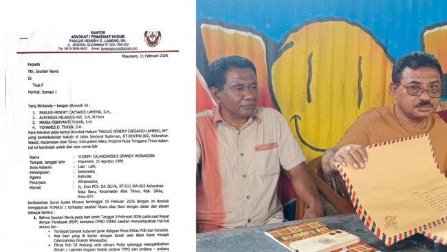 InShot 20260211 231844826