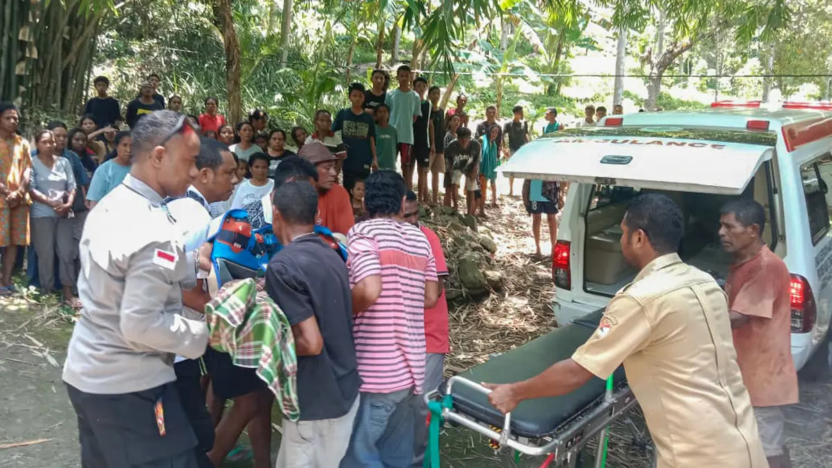 Truk Muat Pasir Terbalik di Sikka, Seorang Petani Tewas Tertimpa Badan Kendaraan 1 Dump Truck Muat Pasir Terbalik di Sikka