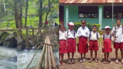 Warga Desa Ojang-Sikka Swadaya Bangun Jembatan Bambu demi Akses Sekolah Anak