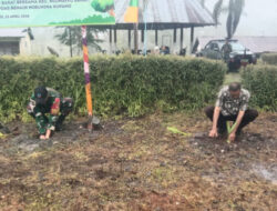 Dari Perbatasan untuk Bumi, 1.000 Pohon Ditanam di Miomaffo Barat