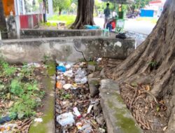 50 Meter dari Rujab Wakil Bupati Sikka, Sampah Sumbat Selokan di Jl. Soekarno-Hatta Maumere