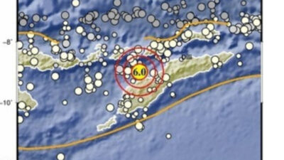 InShot 20260421 122457709