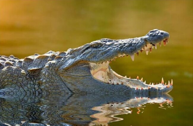 aa884f592df30ab61a4bc938a7d4badb