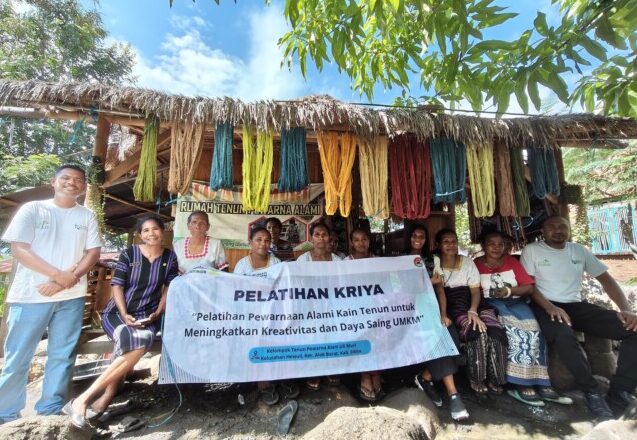 Tingkatkan Daya Saing UMKM, Rumah BUMN PLN Ende Gelar Pelatihan Pewarnaan Alami Kain Tenun di Hewuli 1 IMG 20260521 WA0019 e1779360214768