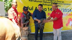 Wujud Toleransi, KKSS Sikka Berbagi Kurban untuk Warga, Termasuk Lansia dan Non-Muslim 3 IMG 20260528 WA0012