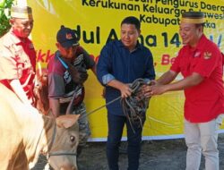 Wujud Toleransi, KKSS Sikka Berbagi Kurban untuk Warga, Termasuk Lansia dan Non-Muslim