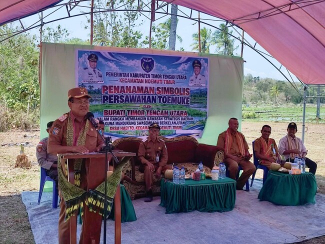 Wabup TTU Tanam Benih Padi di Toemuke, Dorong Optimalisasi Lahan dan Ketahanan Pangan 2 IMG 20261020 WA0034